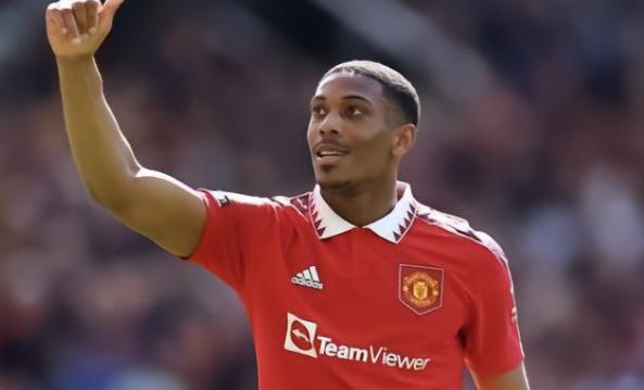 一群江豚欢 一群江豚欢