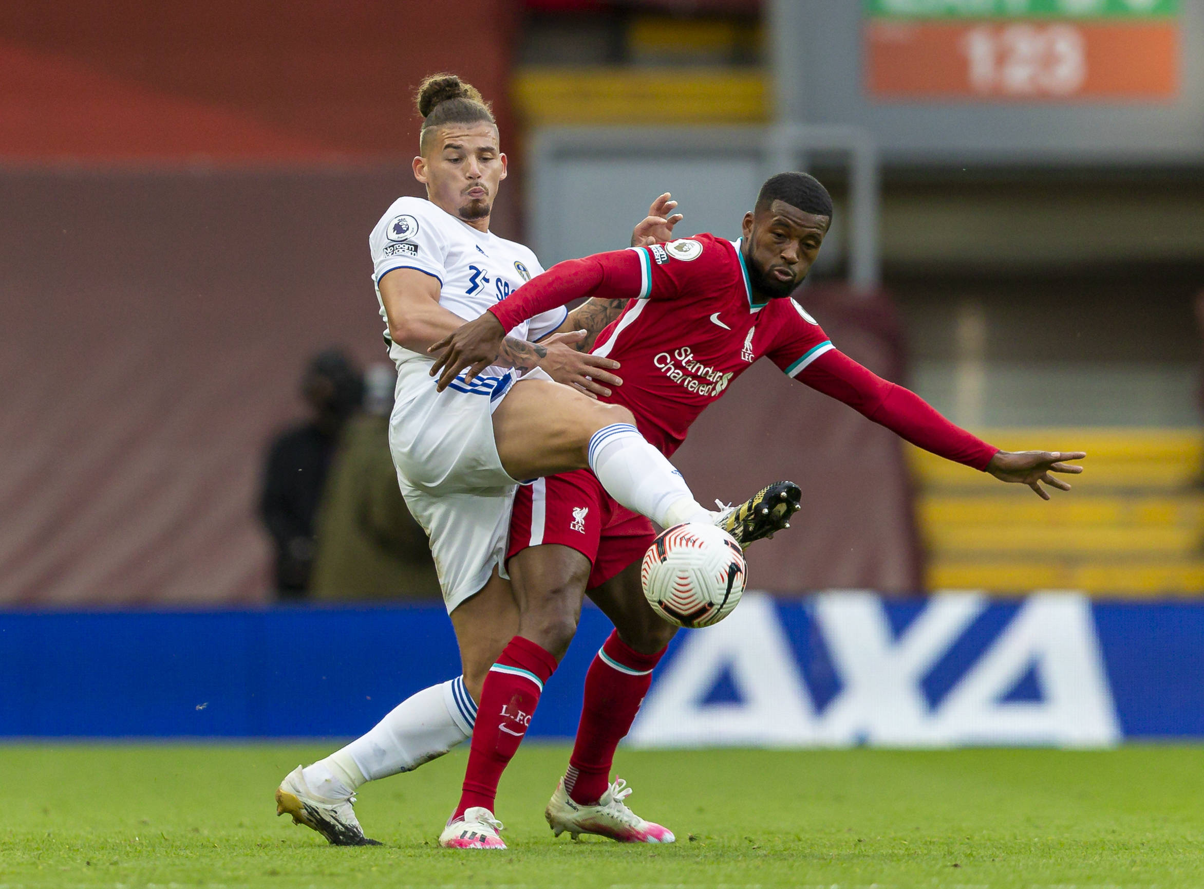 罗马的背后 罗马的背后