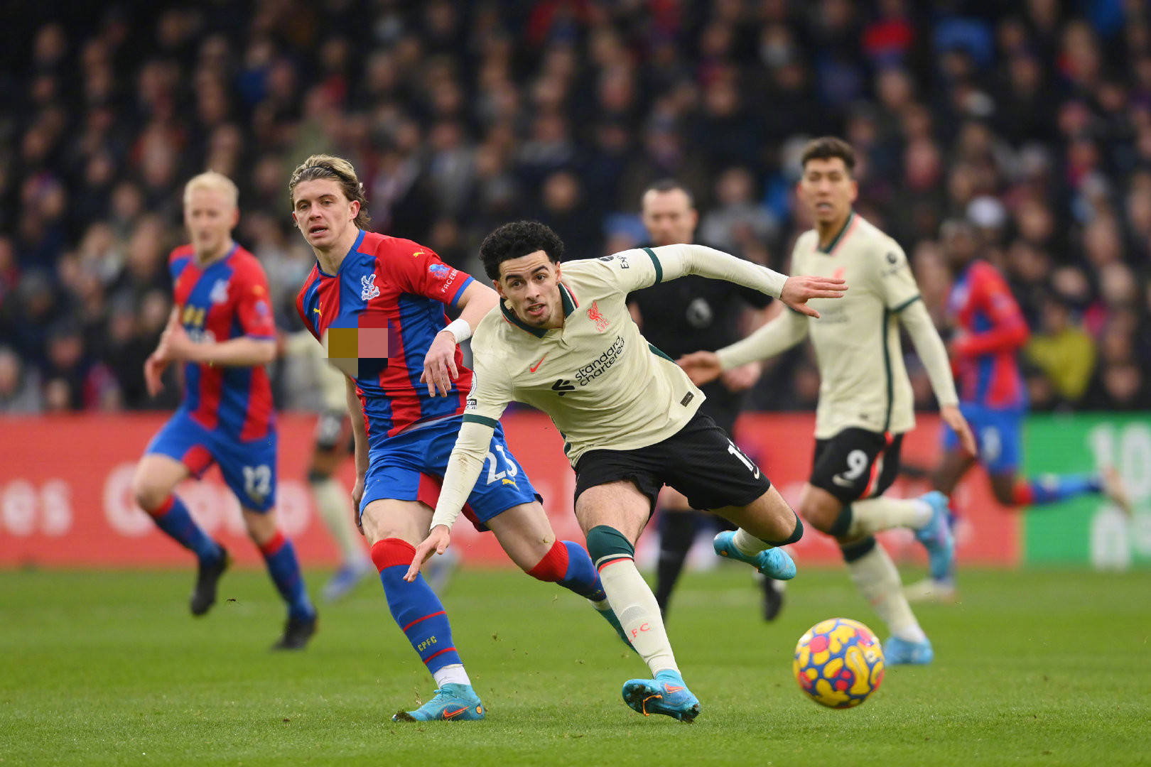 的电视剧 的电视剧